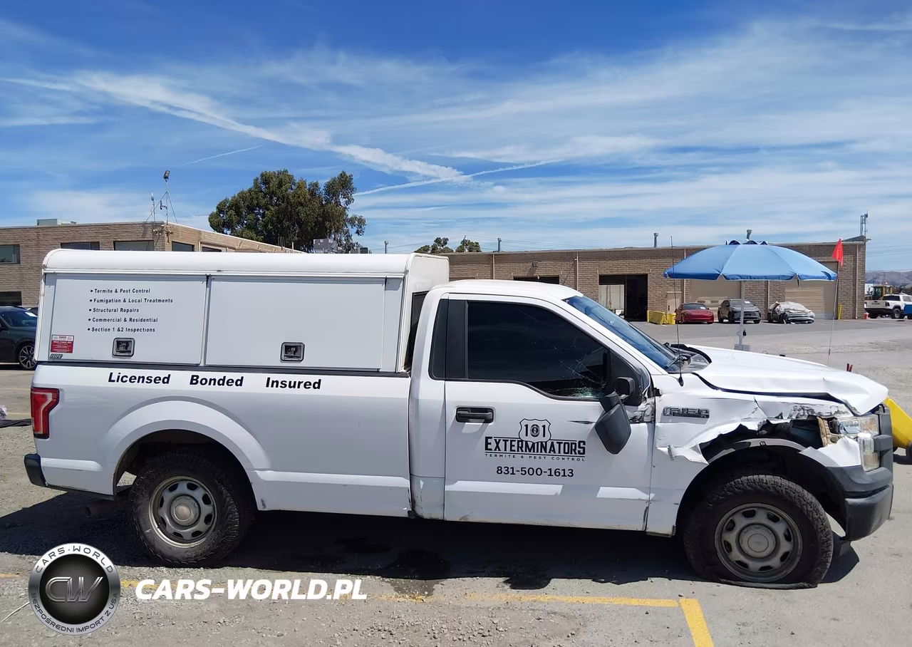 2016 Ford F-150 Xl VIN:1FTMF1CF3GKD66698 - 13