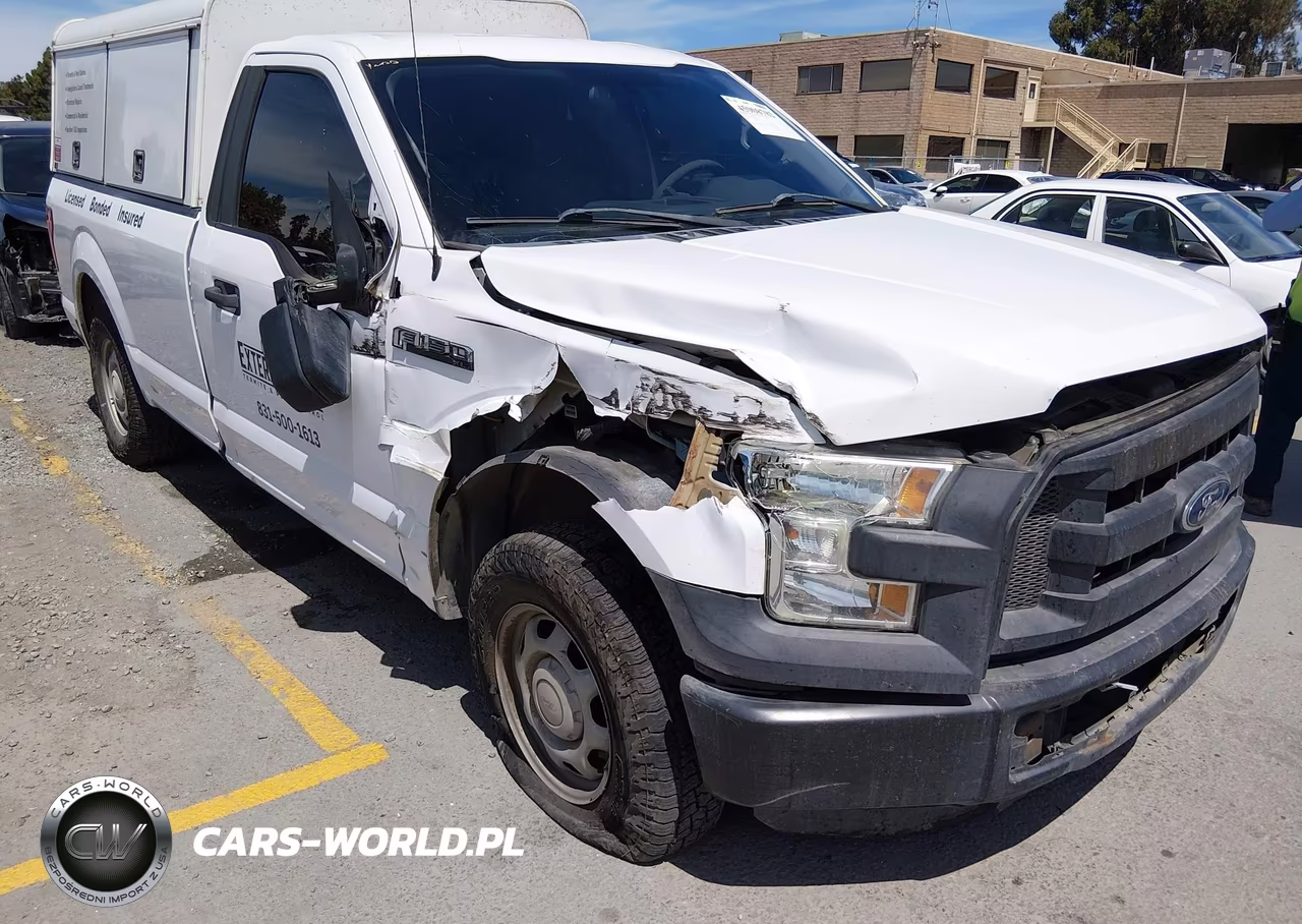 2016 Ford F-150 Xl VIN:1FTMF1CF3GKD66698 - 6