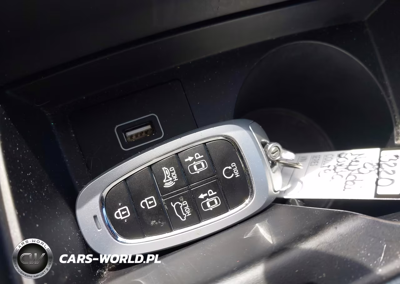 2023 Hyundai Santa Fe Calligraphy VIN:5NMS5DAL4PH582009 - 11
