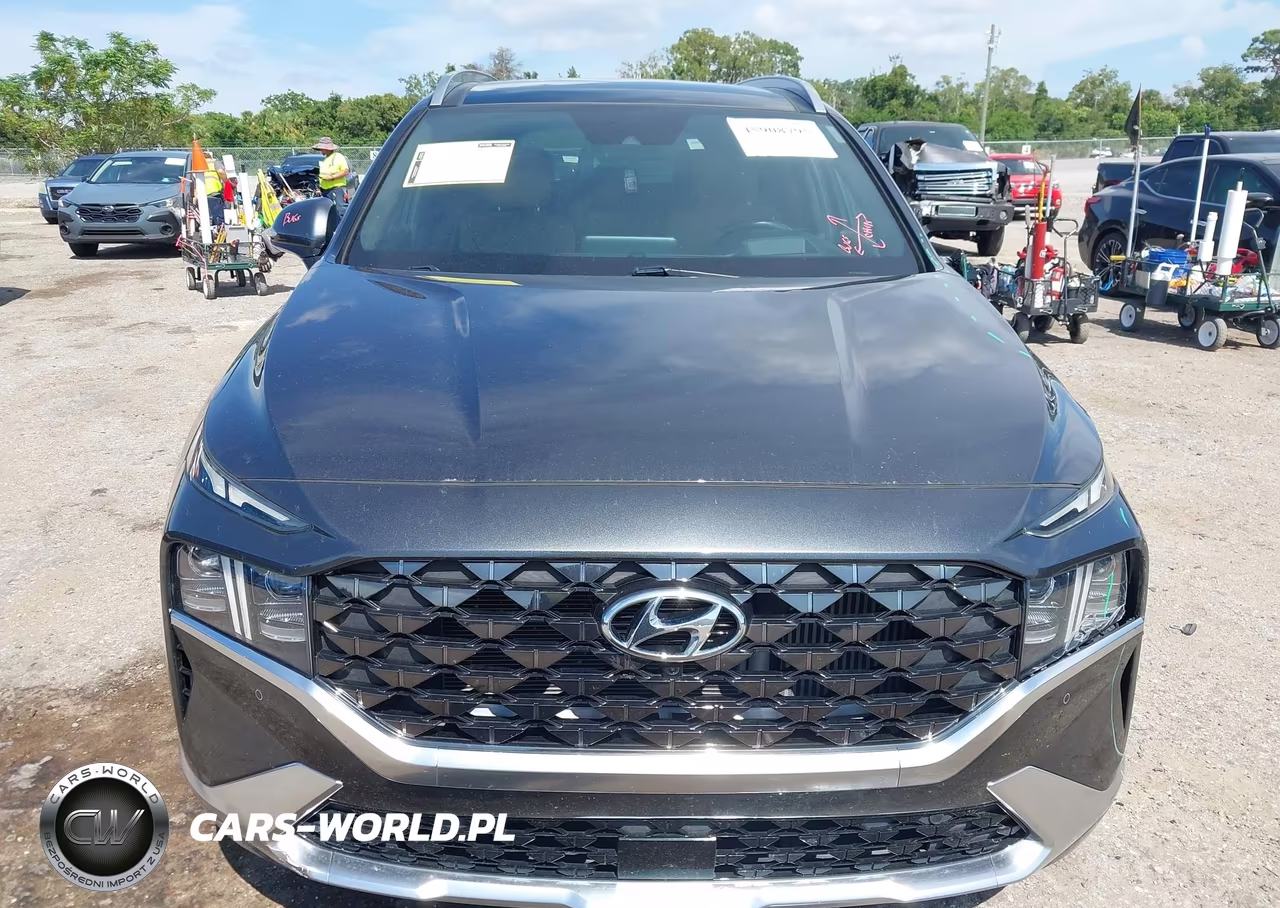 2023 Hyundai Santa Fe Calligraphy VIN:5NMS5DAL4PH582009 - 12