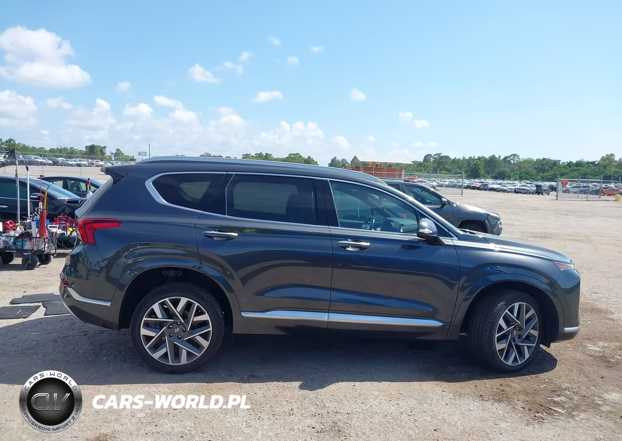 2023 Hyundai Santa Fe Calligraphy VIN:5NMS5DAL4PH582009 - 13