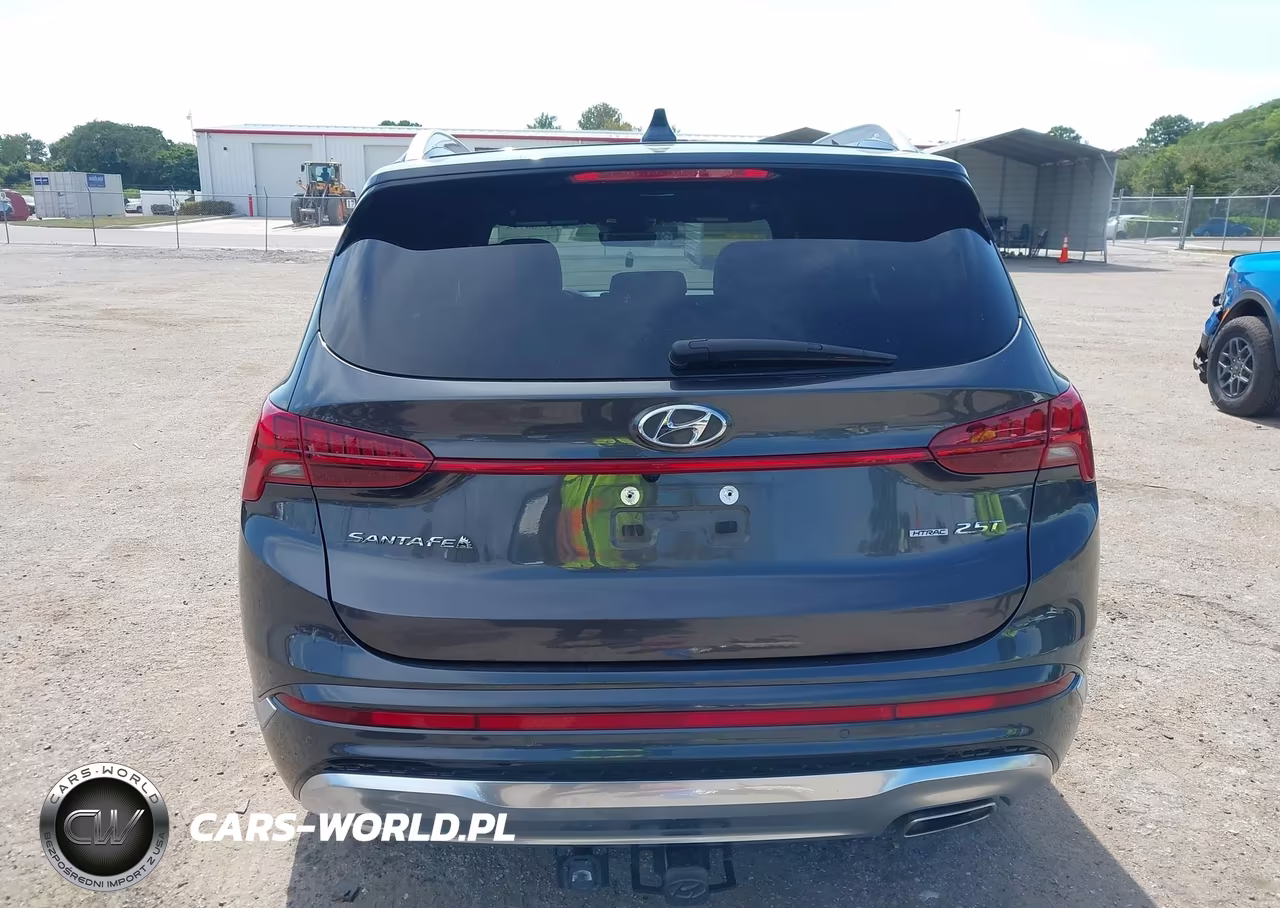 2023 Hyundai Santa Fe Calligraphy VIN:5NMS5DAL4PH582009 - 16