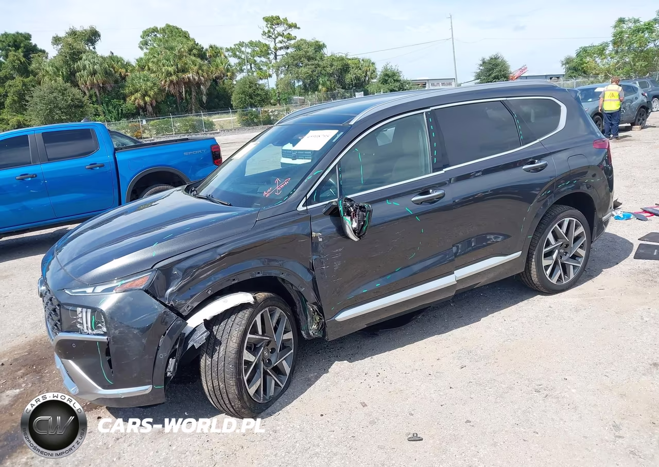 2023 Hyundai Santa Fe Calligraphy VIN:5NMS5DAL4PH582009 - 2