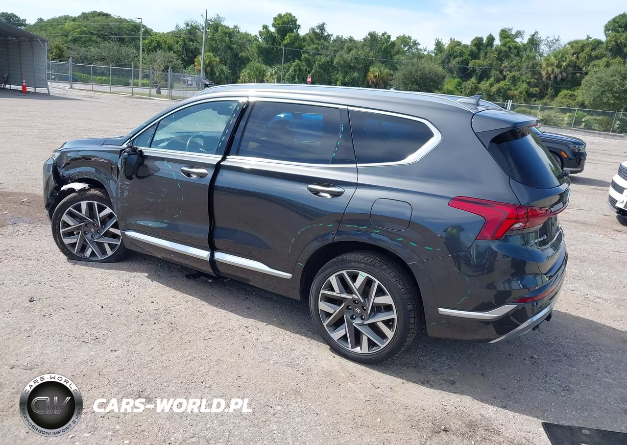 2023 Hyundai Santa Fe Calligraphy VIN:5NMS5DAL4PH582009 - 3