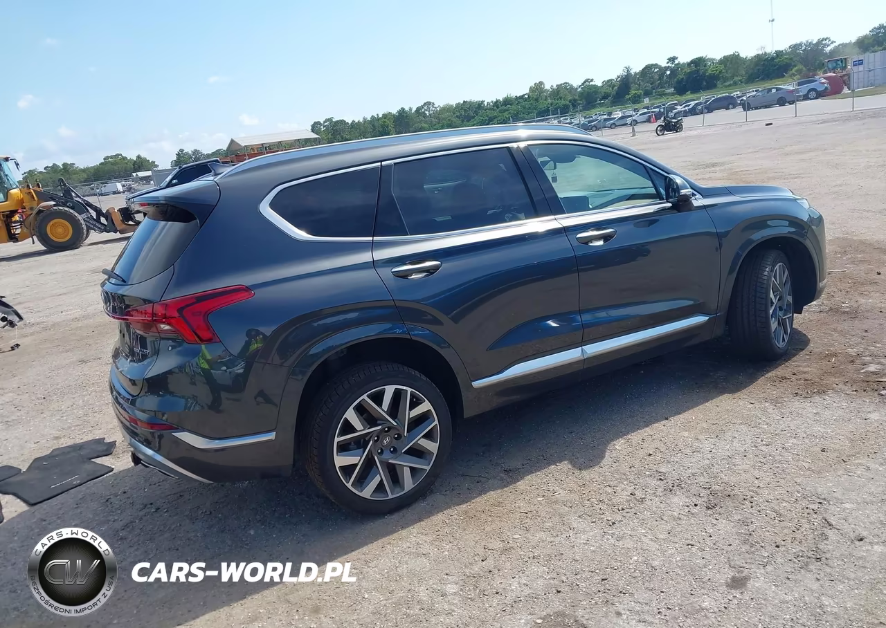2023 Hyundai Santa Fe Calligraphy VIN:5NMS5DAL4PH582009 - 4