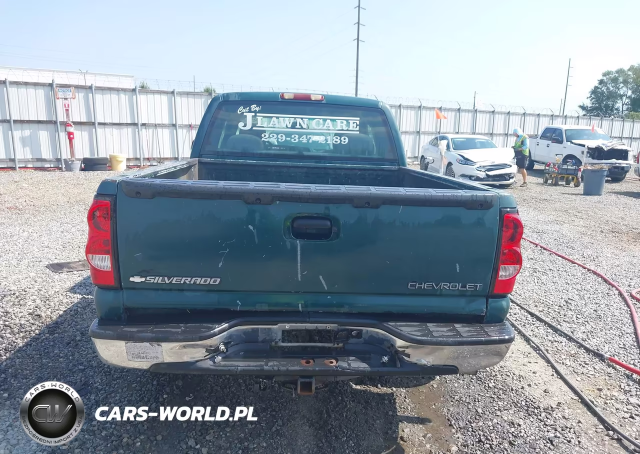 2003 Chevrolet Silverado 1500 Ls VIN:2GCEC19V131110405 - 16