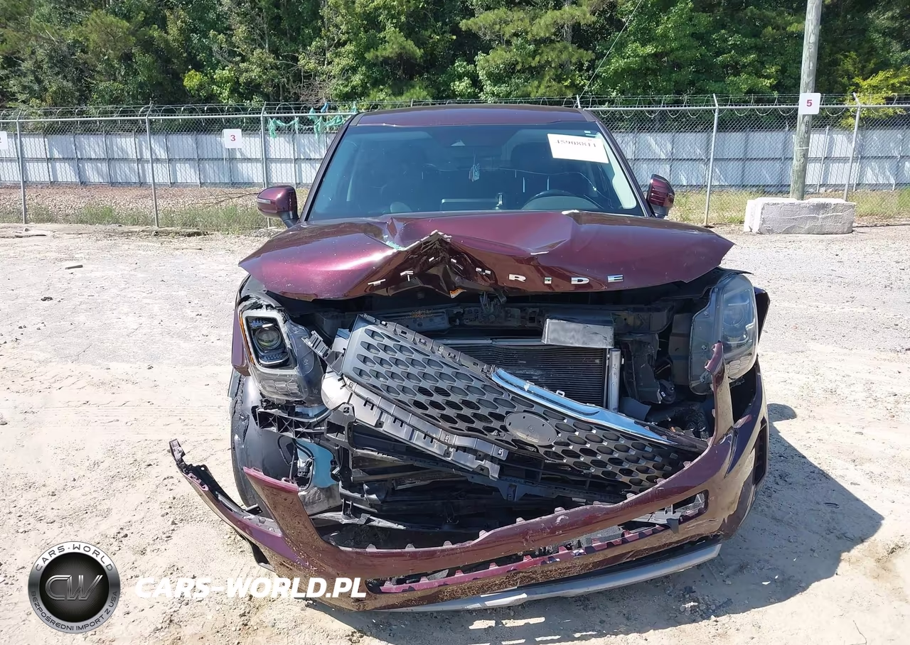 2020 Kia Telluride Lx VIN:5XYP24HC0LG015076 - 13