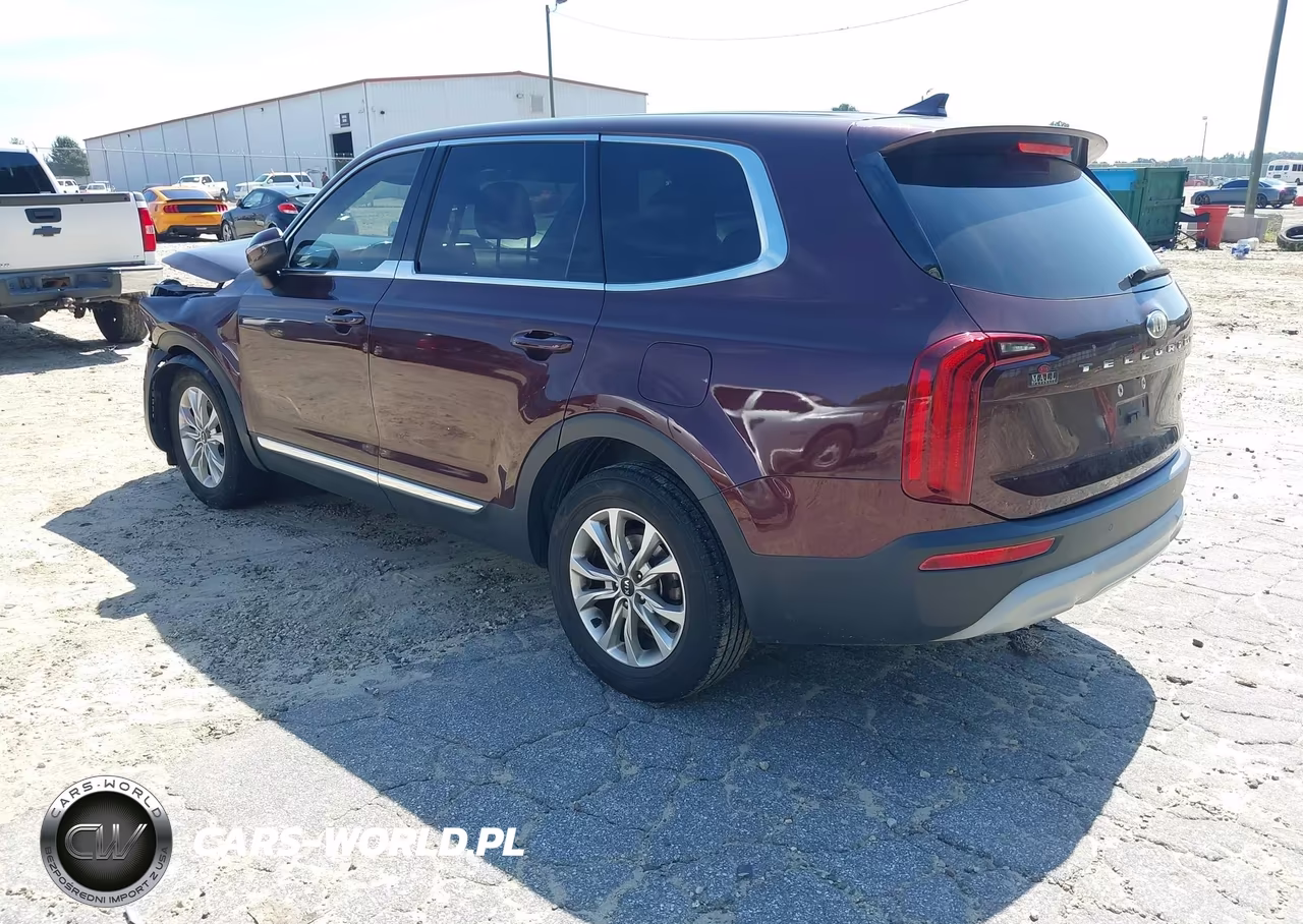 2020 Kia Telluride Lx VIN:5XYP24HC0LG015076 - 3