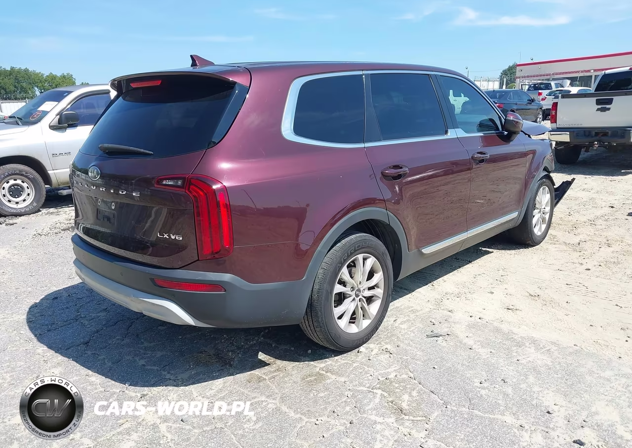 2020 Kia Telluride Lx VIN:5XYP24HC0LG015076 - 4
