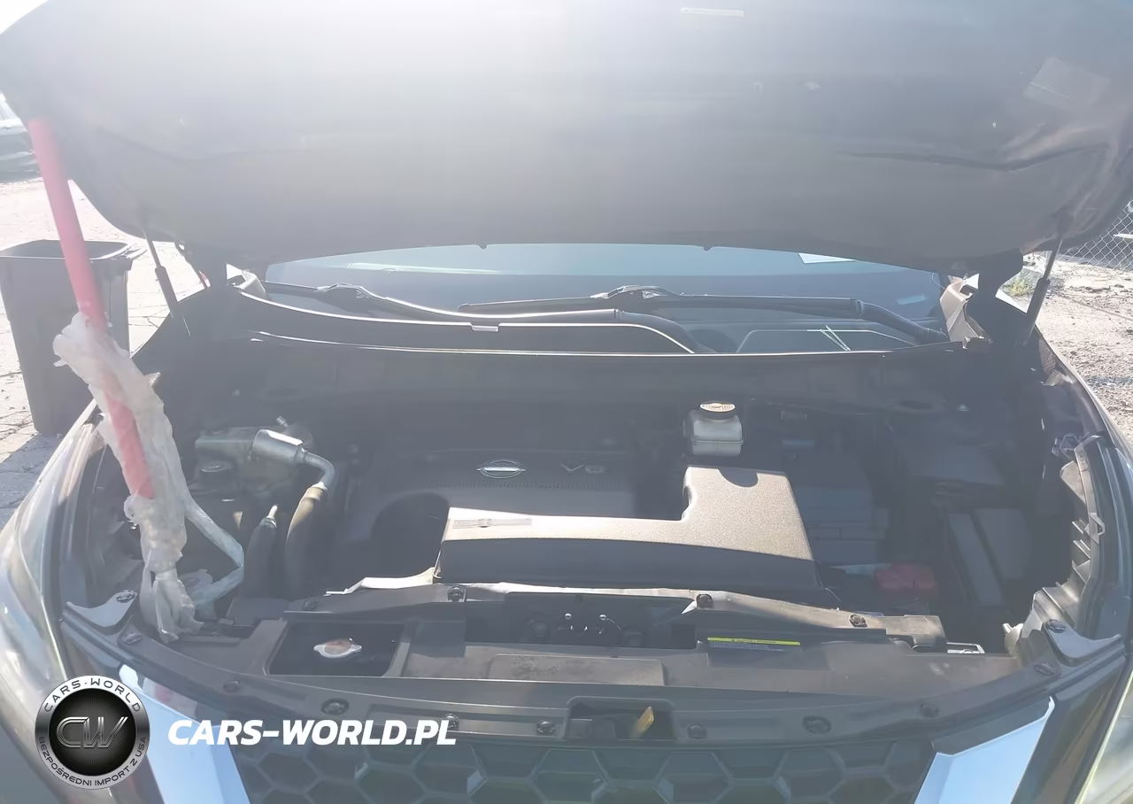 2019 Nissan Murano Platinum VIN:5N1AZ2MSXKN113067 - 10