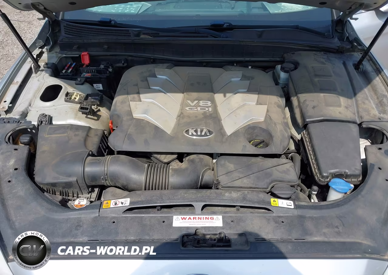 2015 Kia K900 Luxury VIN:KNALW4D46F6021017 - 10