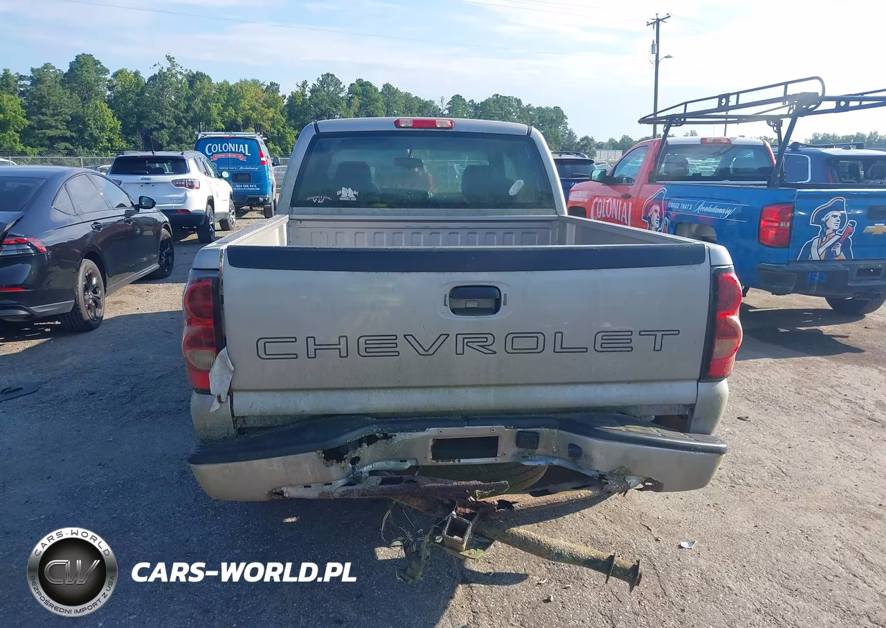 2006 Chevrolet Silverado 1500 Work Truck VIN:1GCEC19Z06Z204032 - 6