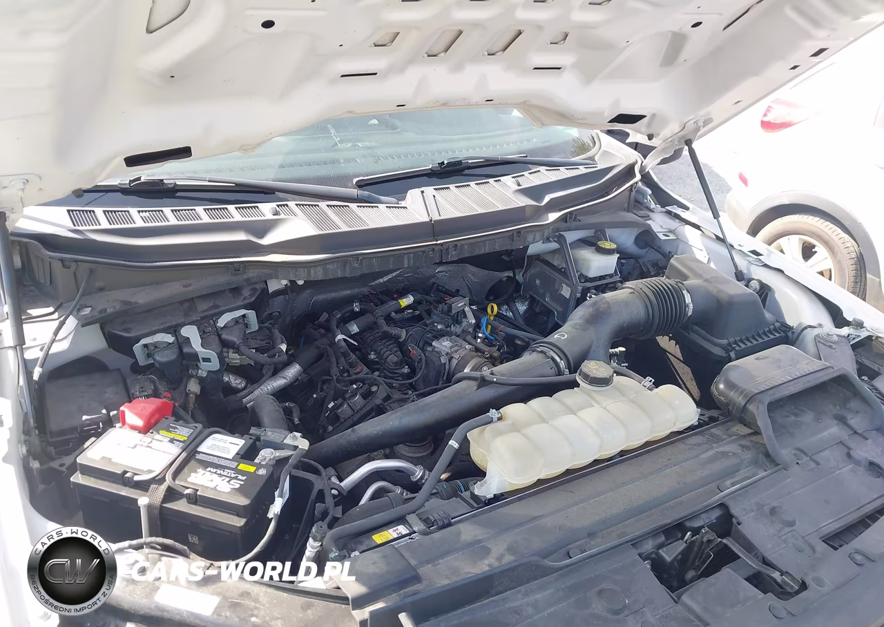 2021 Ford F-150 Xl VIN:1FTEW1EP7MFD12450 - 10