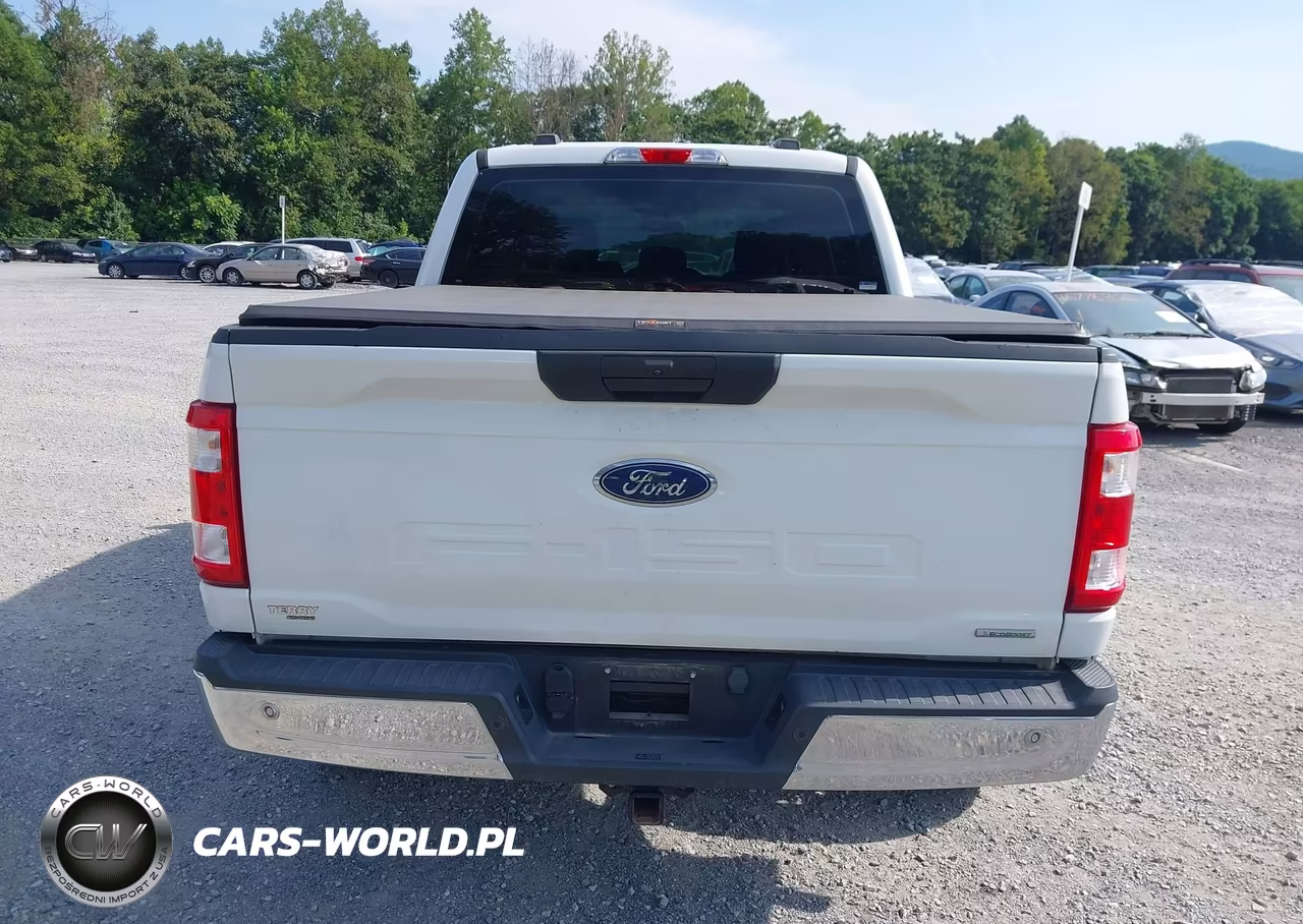 2021 Ford F-150 Xl VIN:1FTEW1EP7MFD12450 - 17