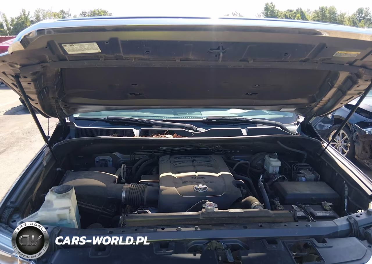 2019 Toyota Tundra Limited 5.7L V8 VIN:5TFFY5F18KX244098 - 10