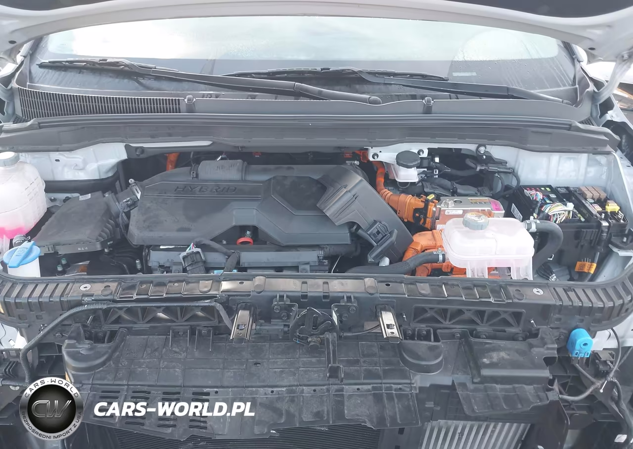 2025 Kia Carnival Mpv Hybrid Ex VIN:KNDNC5KA0S6076012 - 10