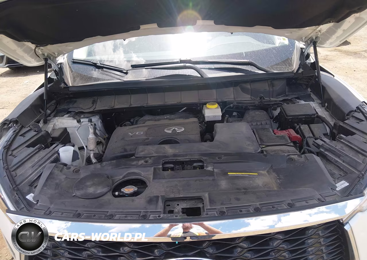 2024 Infiniti Qx60 Luxe VIN:5N1DL1FRXRC347198 - 10