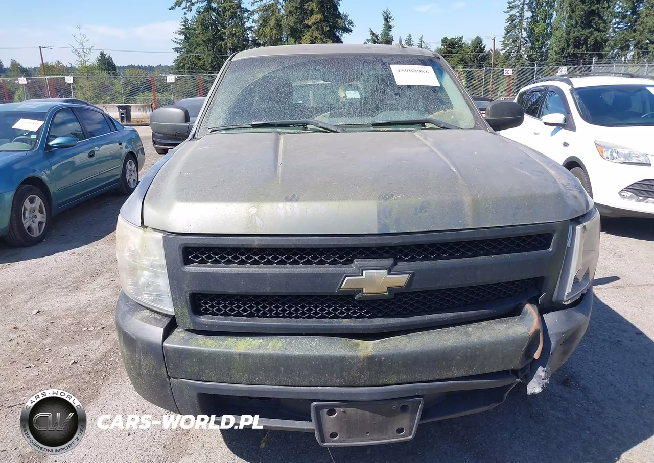 2007 Chevrolet Silverado 1500 Work Truck VIN:2GCEC13C371597331 - 12