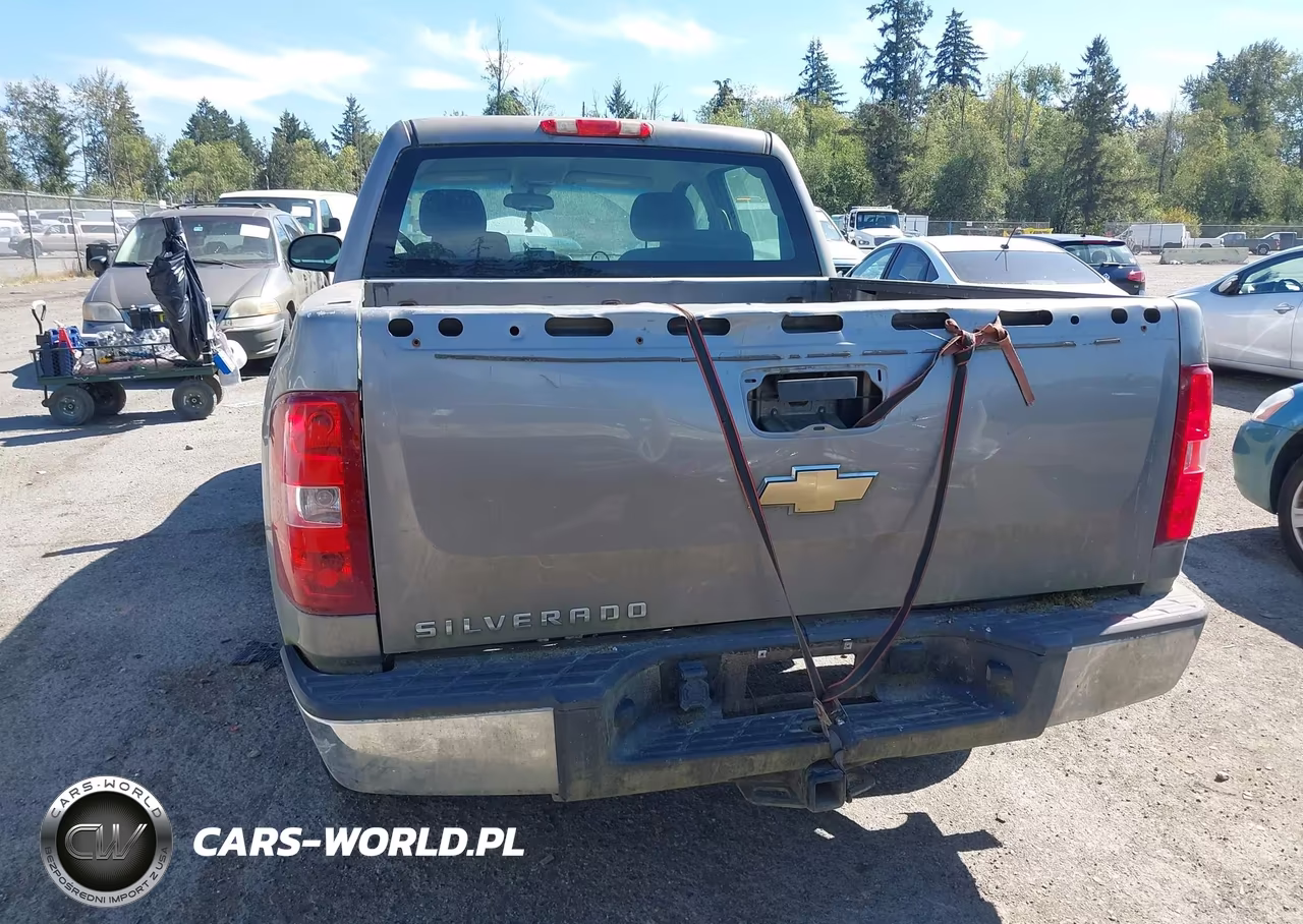 2007 Chevrolet Silverado 1500 Work Truck VIN:2GCEC13C371597331 - 16