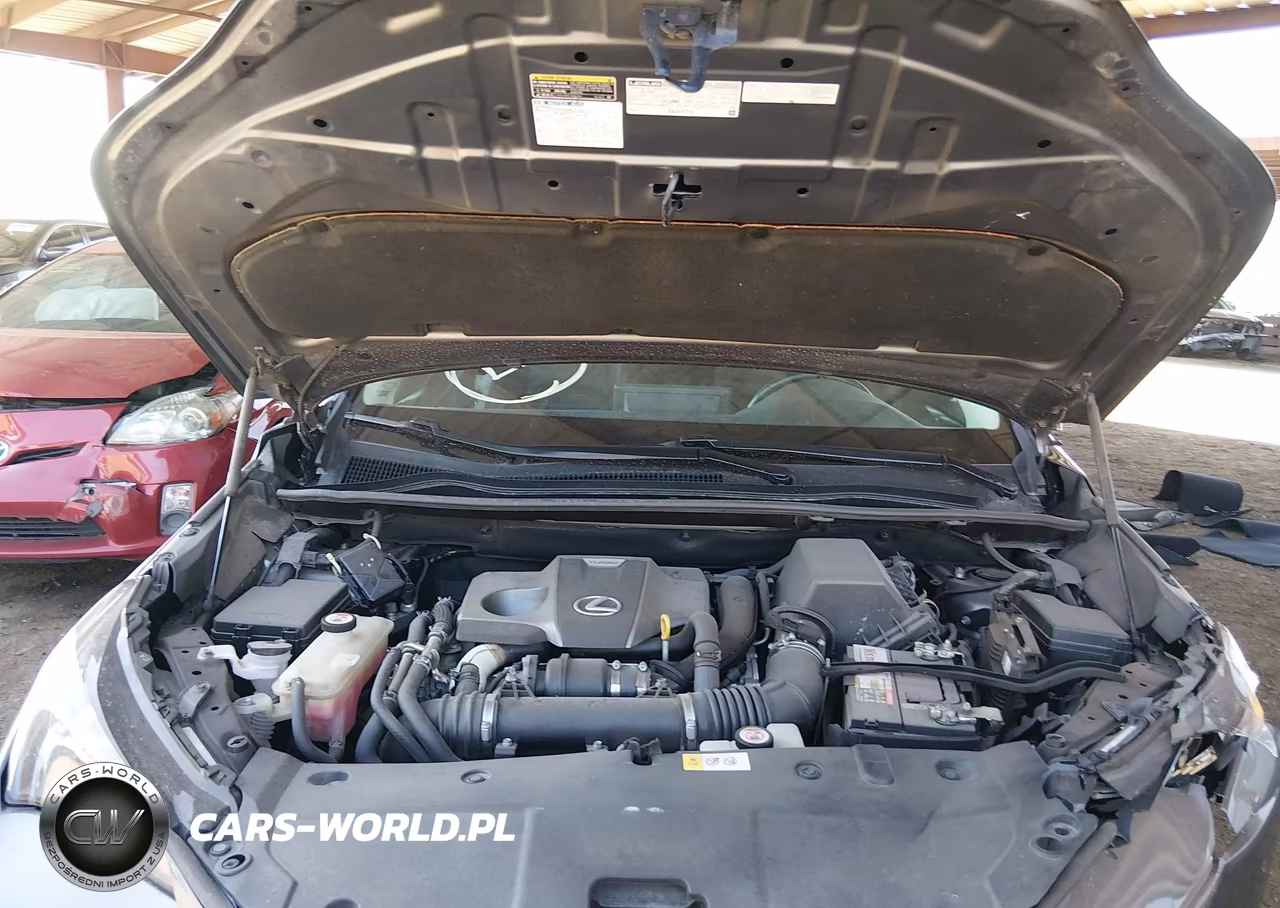2018 Lexus Nx 300 VIN:JTJBARBZXJ2165952 - 10