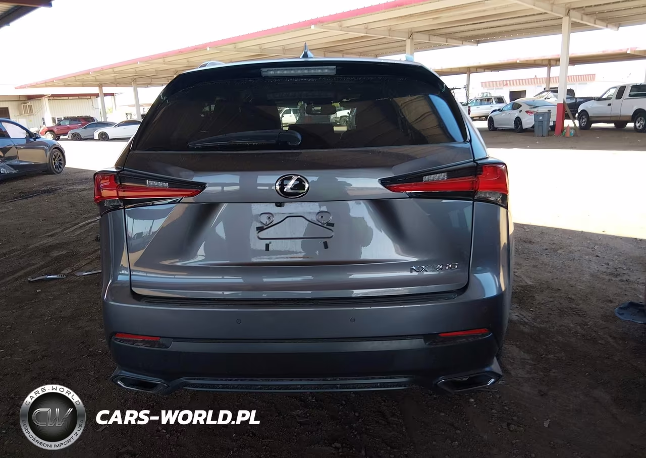 2018 Lexus Nx 300 VIN:JTJBARBZXJ2165952 - 17