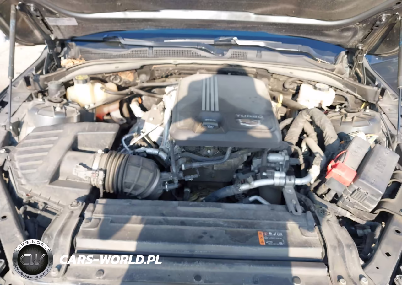 2021 Cadillac Ct4 Sport VIN:1G6DG5RK4M0123663 - 10