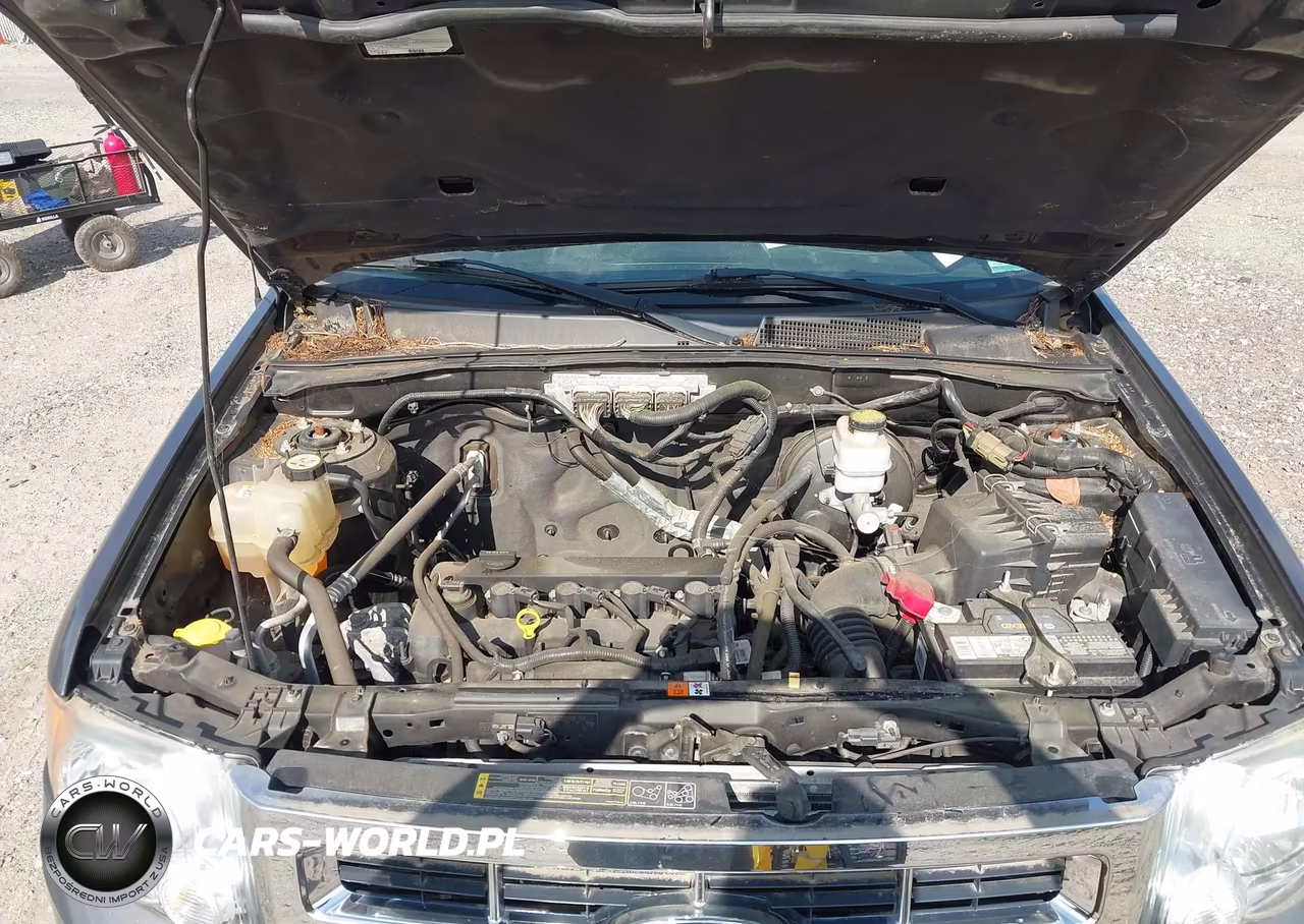 2011 Ford Escape Xlt VIN:1FMCU0D78BKA65772 - 10