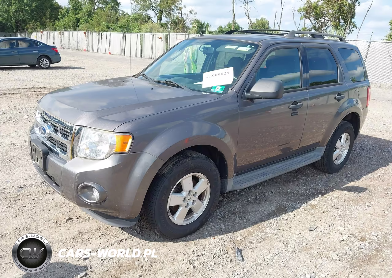 2011 Ford Escape Xlt VIN:1FMCU0D78BKA65772 - 2