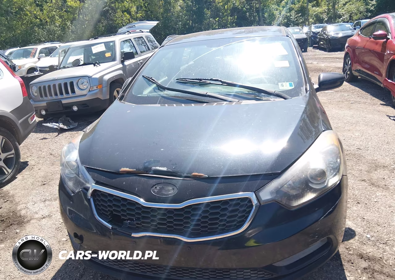 2014 Kia Forte Lx VIN:KNAFK4A67E5184648 - 12