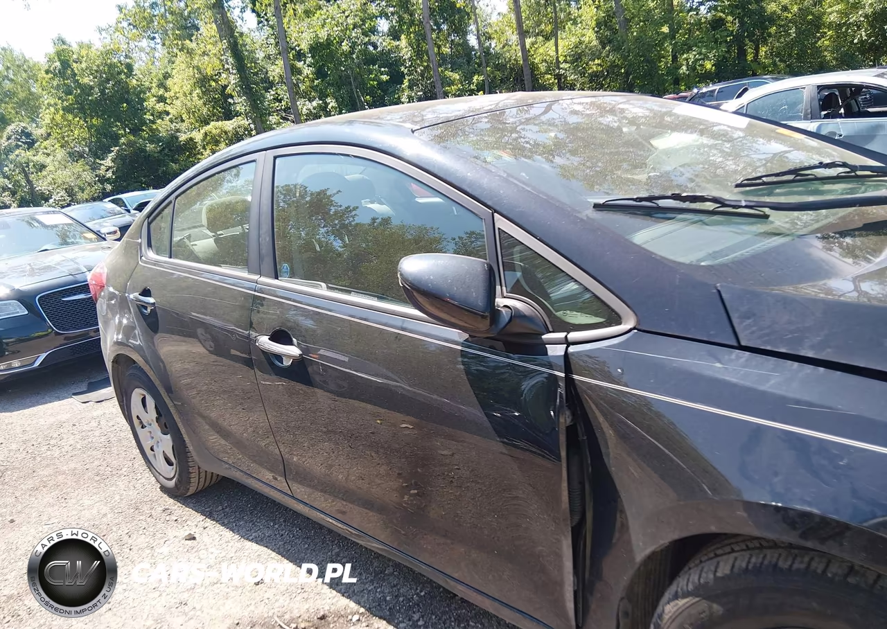 2014 Kia Forte Lx VIN:KNAFK4A67E5184648 - 13