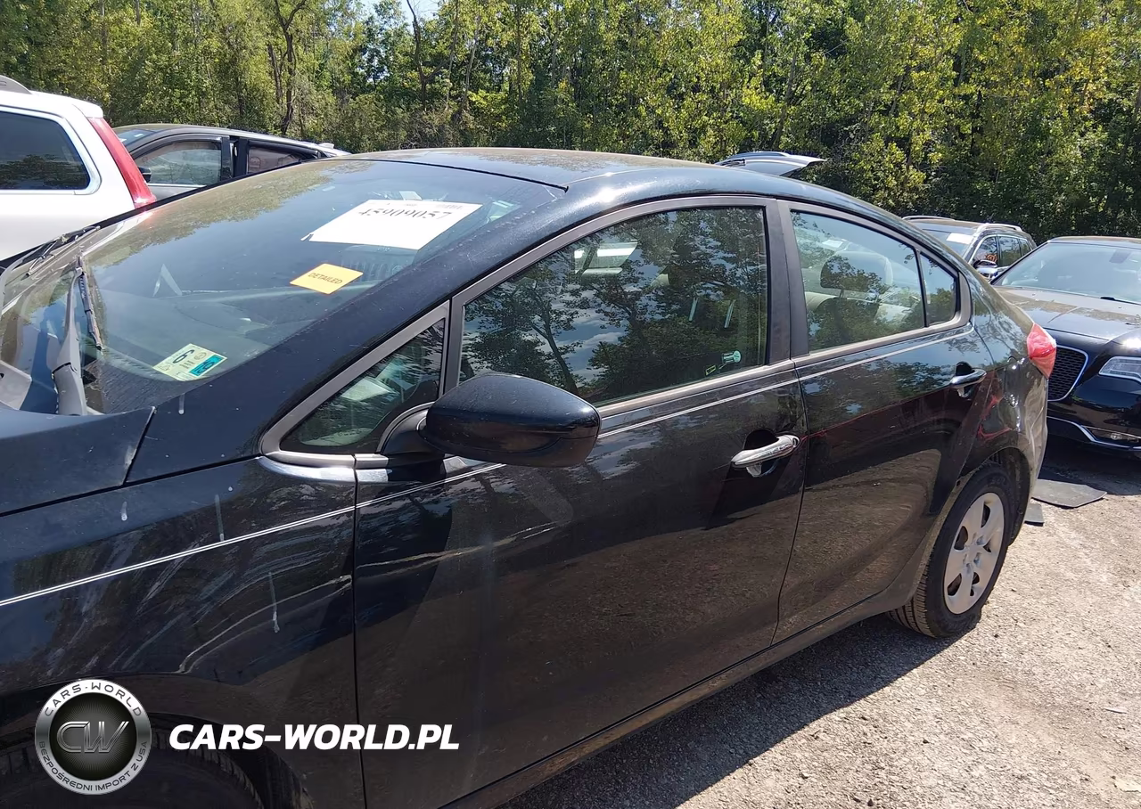 2014 Kia Forte Lx VIN:KNAFK4A67E5184648 - 14
