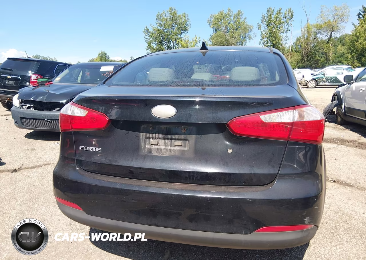 2014 Kia Forte Lx VIN:KNAFK4A67E5184648 - 16