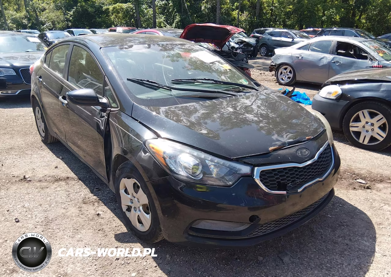 2014 Kia Forte Lx VIN:KNAFK4A67E5184648 - 6