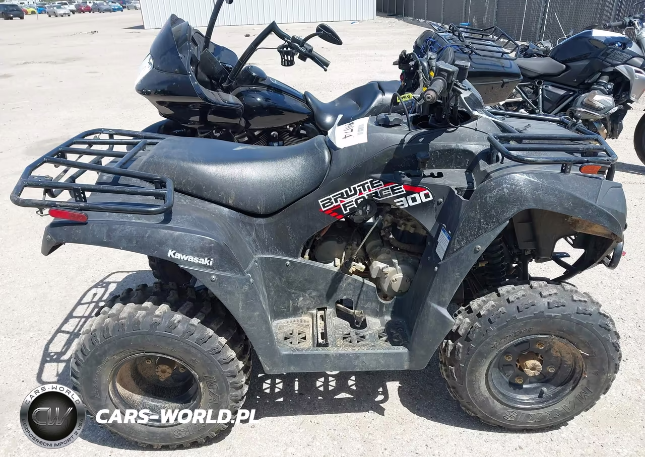 2020 Kawasaki Kvf300 C VIN:RGSWM2230LBD20230 - 12