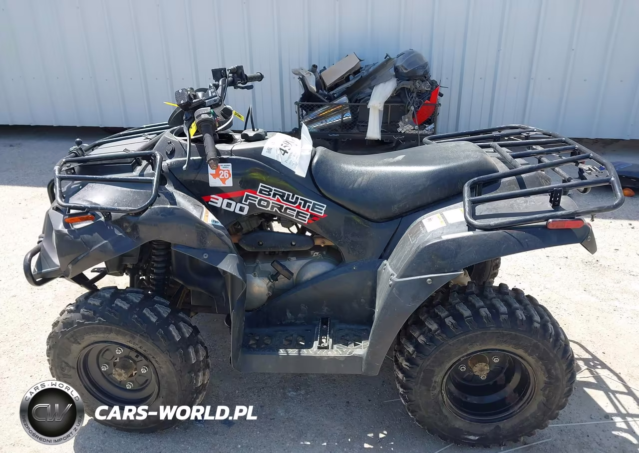 2020 Kawasaki Kvf300 C VIN:RGSWM2230LBD20230 - 13