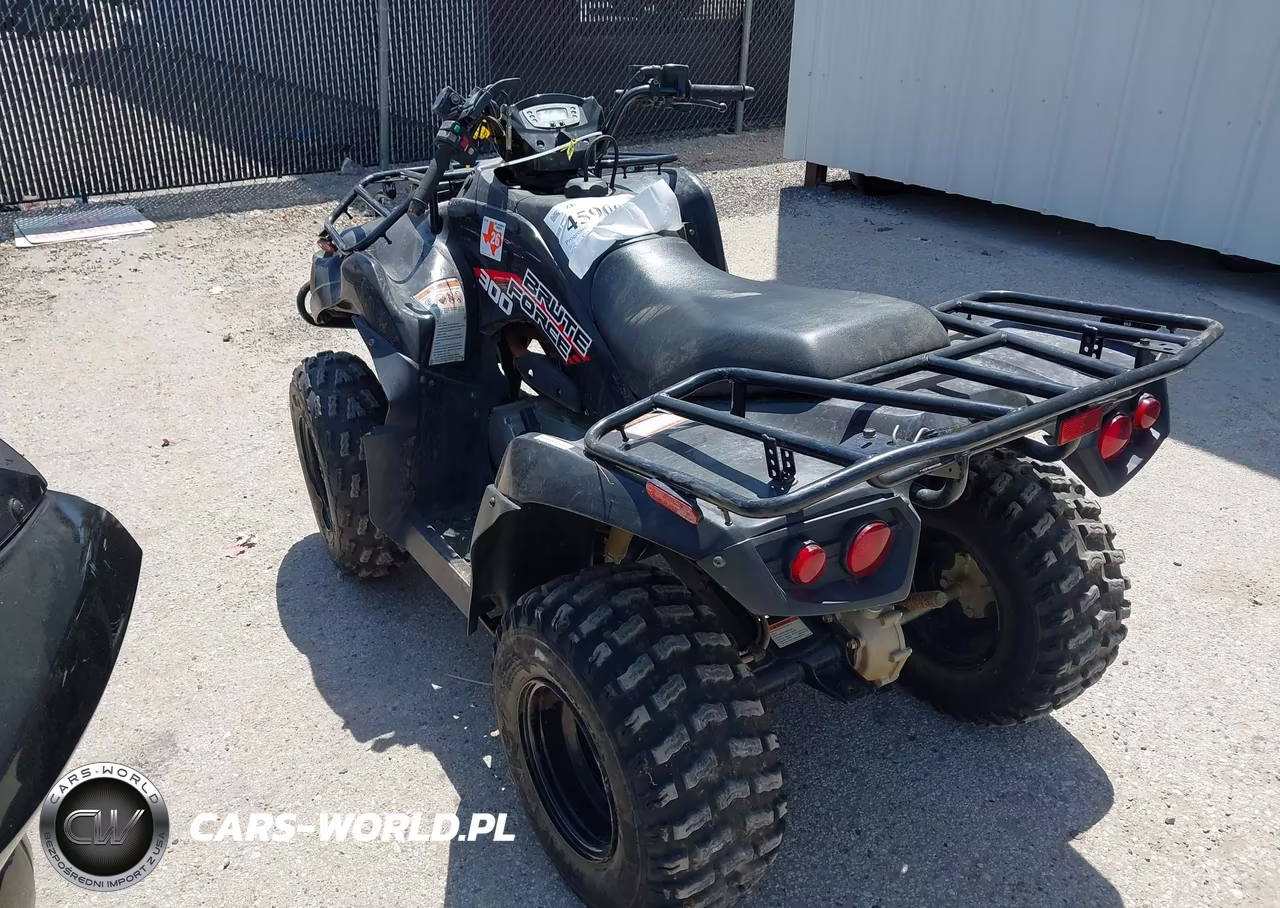 2020 Kawasaki Kvf300 C VIN:RGSWM2230LBD20230 - 3