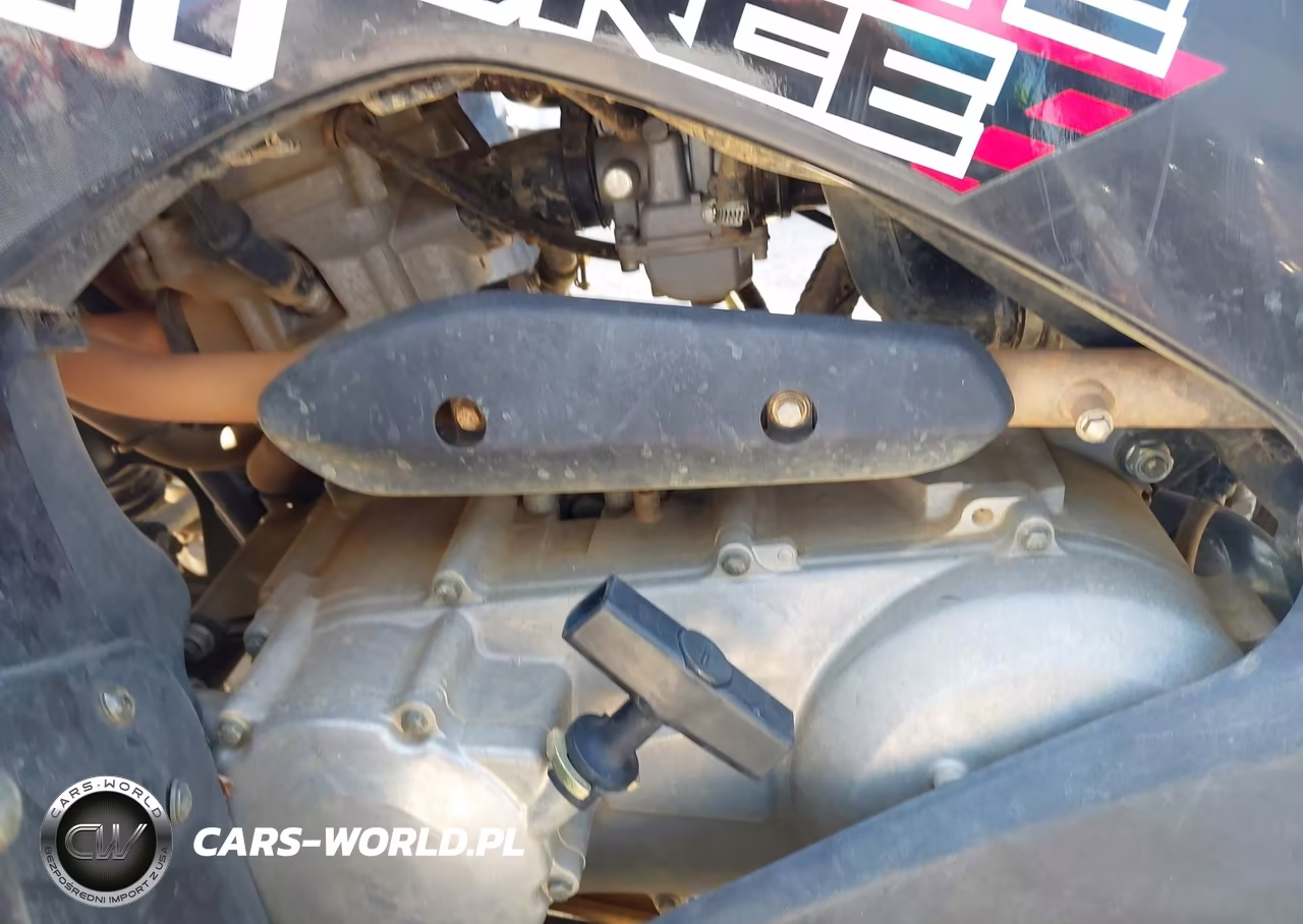 2020 Kawasaki Kvf300 C VIN:RGSWM2230LBD20230 - 9