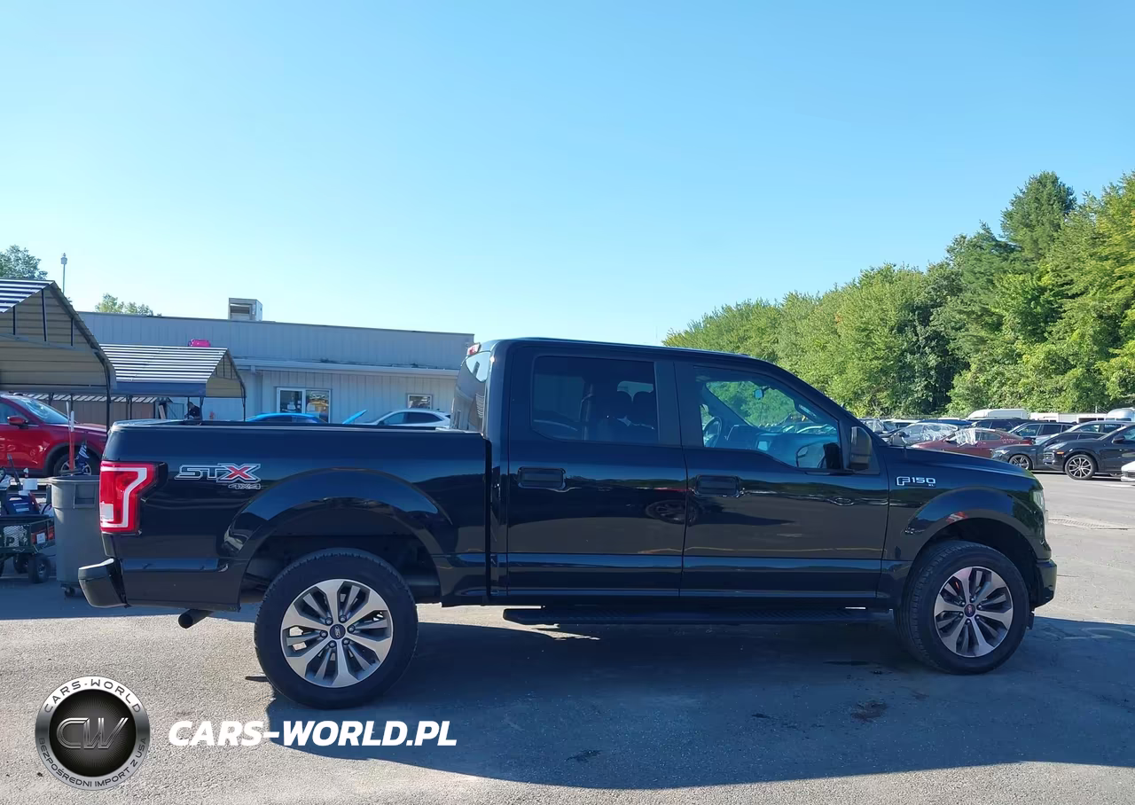 2017 Ford F-150 Xl VIN:1FTEW1EF3HFC58030 - 13