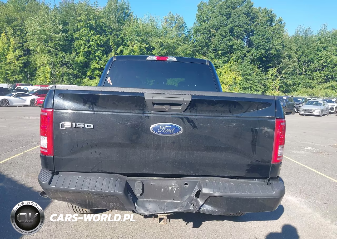 2017 Ford F-150 Xl VIN:1FTEW1EF3HFC58030 - 16
