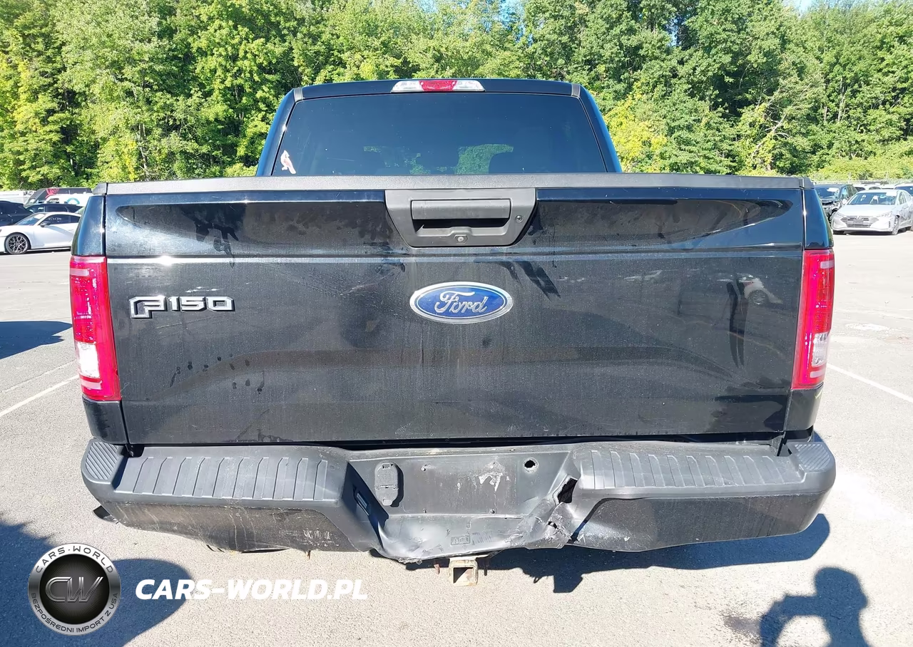 2017 Ford F-150 Xl VIN:1FTEW1EF3HFC58030 - 6