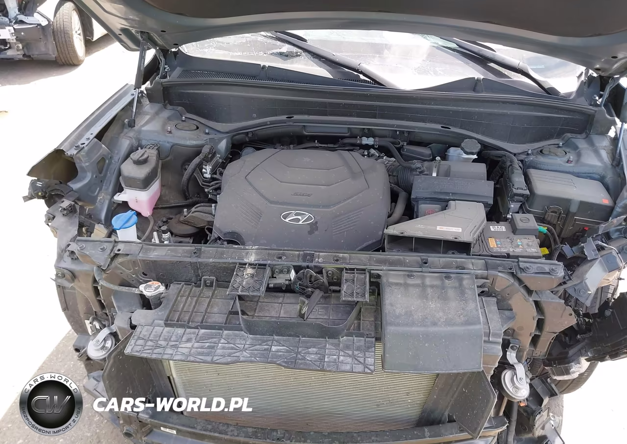 2024 Hyundai Palisade Xrt VIN:KM8R34GE3RU784408 - 10