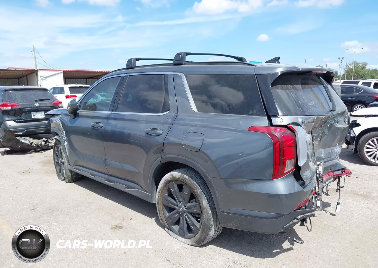 2024 Hyundai Palisade Xrt VIN:KM8R34GE3RU784408 - 3