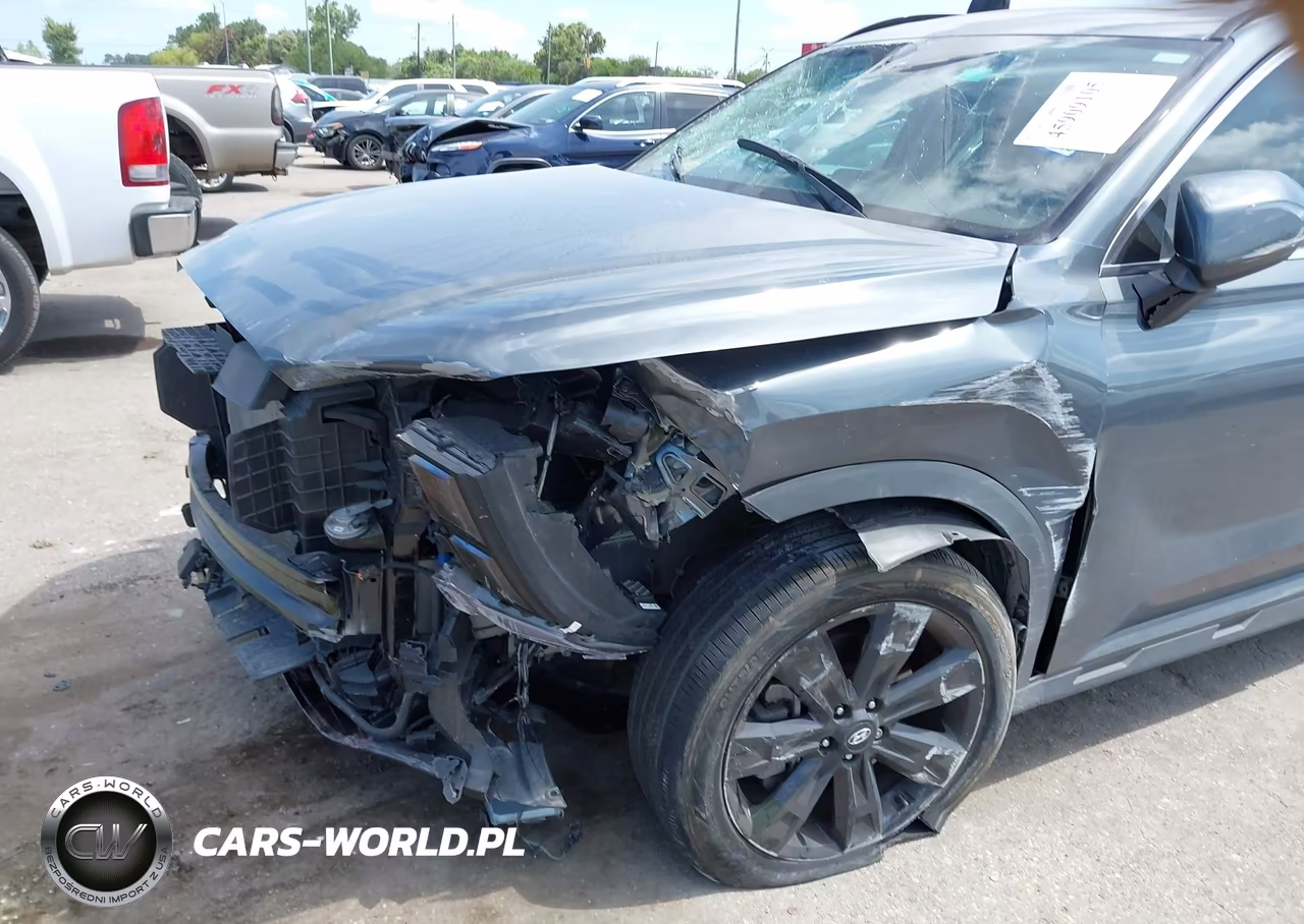 2024 Hyundai Palisade Xrt VIN:KM8R34GE3RU784408 - 6