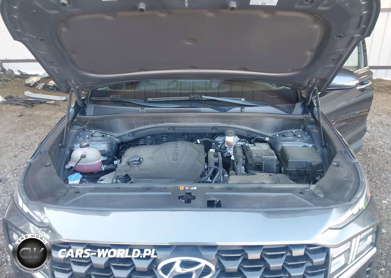 2023 Hyundai Santa Fe Sel VIN:5NMS24AJ8PH506364 - 10