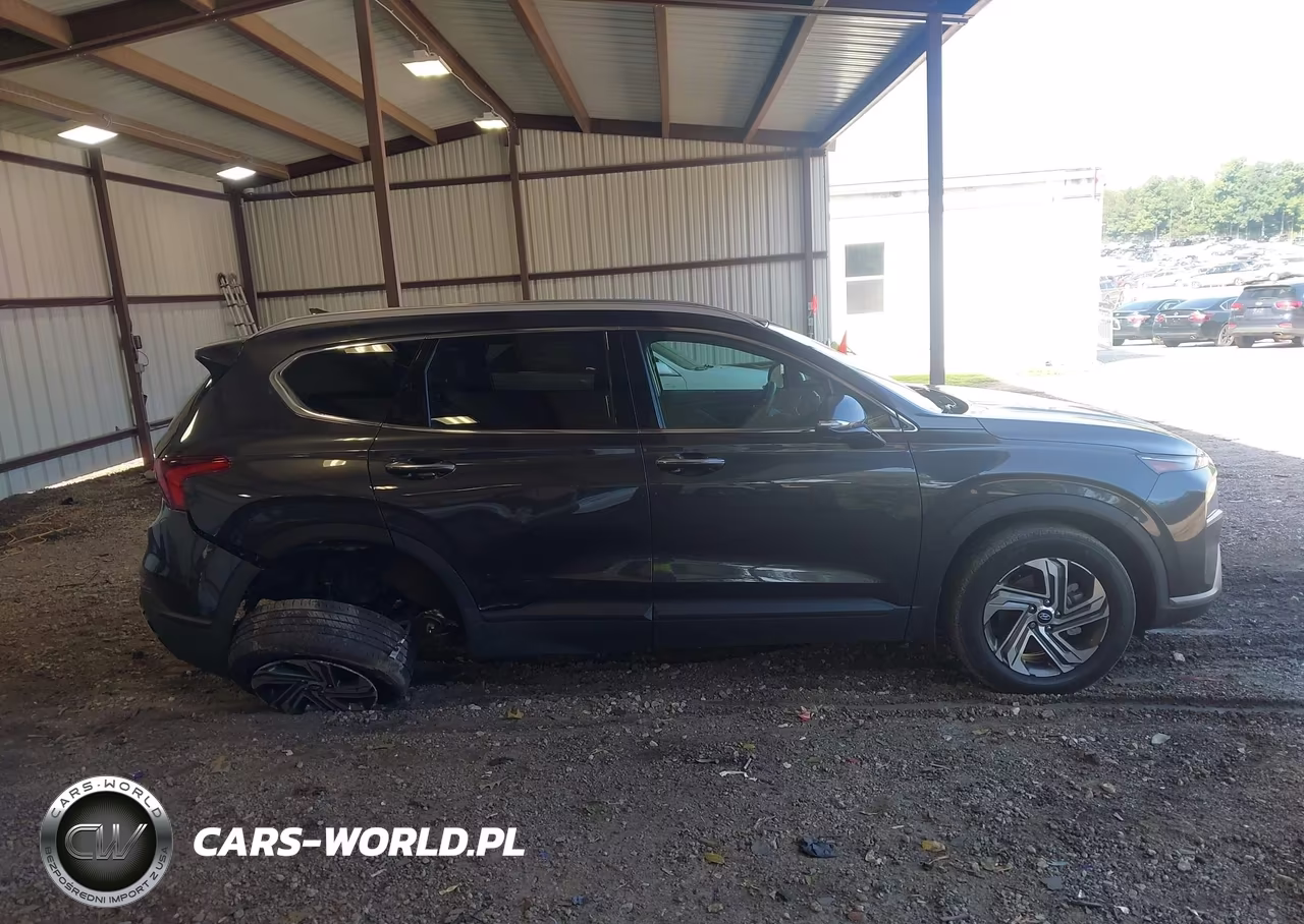 2023 Hyundai Santa Fe Sel VIN:5NMS24AJ8PH506364 - 13