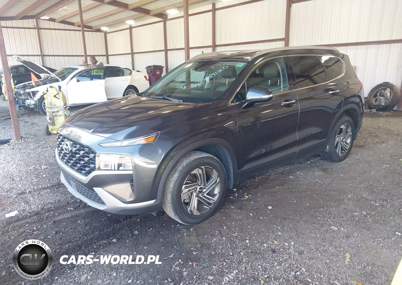2023 Hyundai Santa Fe Sel VIN:5NMS24AJ8PH506364 - 2