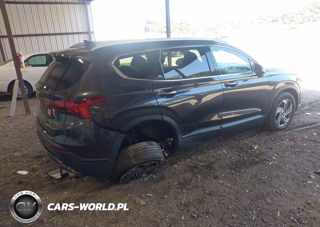 2023 Hyundai Santa Fe Sel VIN:5NMS24AJ8PH506364 - 4