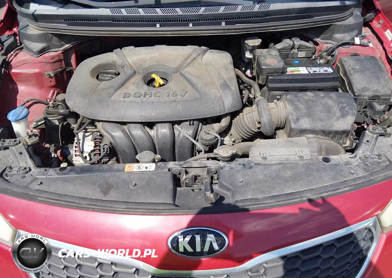 2015 Kia Forte Lx VIN:KNAFX4A66F5343209 - 10