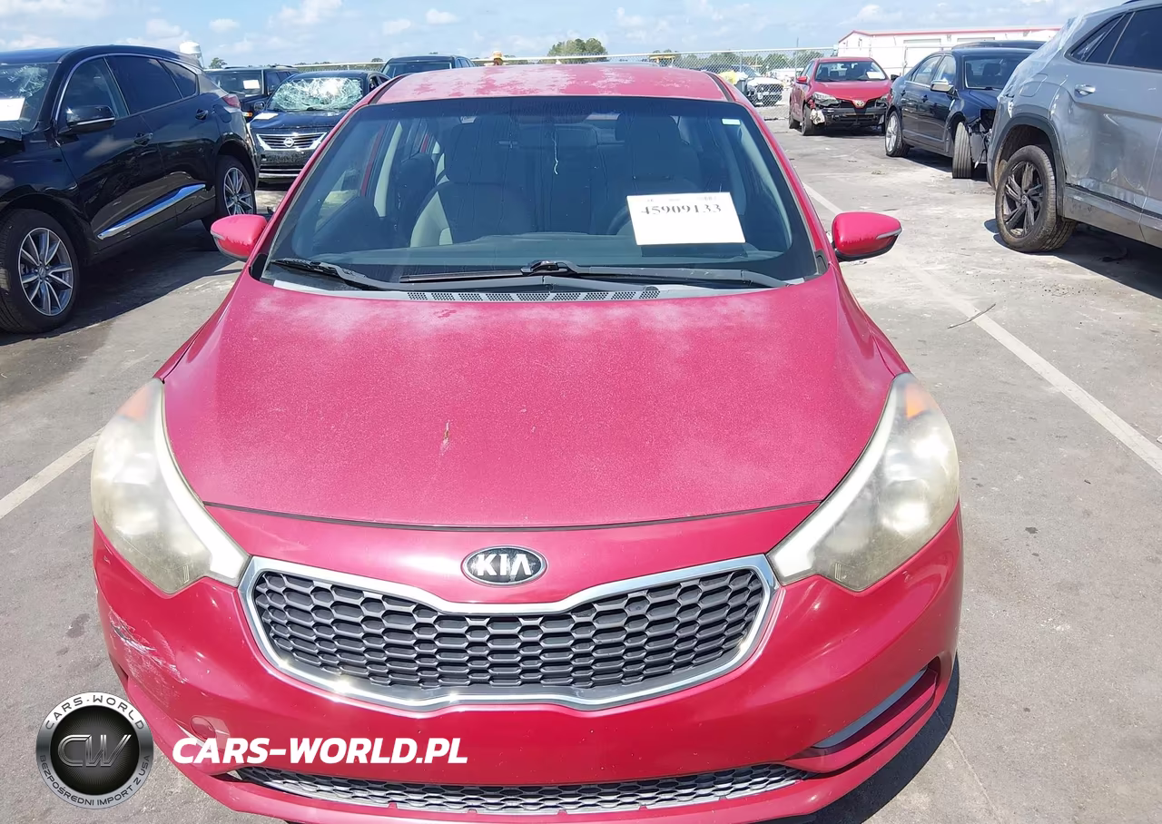 2015 Kia Forte Lx VIN:KNAFX4A66F5343209 - 12