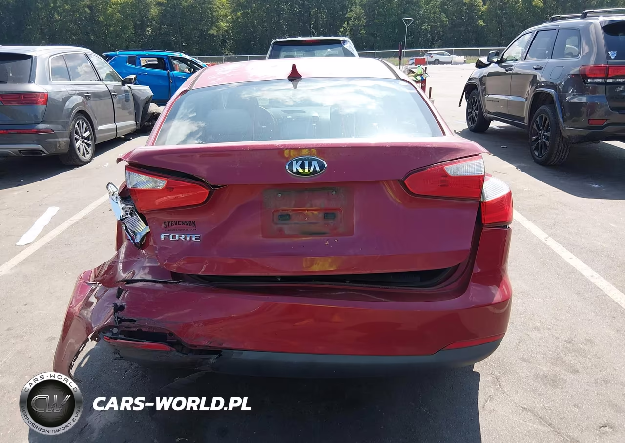 2015 Kia Forte Lx VIN:KNAFX4A66F5343209 - 16